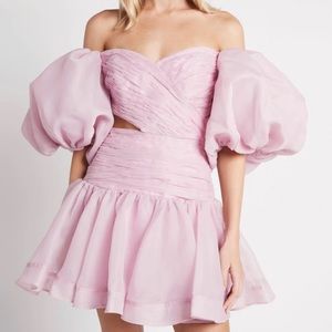 NWT Aje Myriad Cut Out Mini Dress